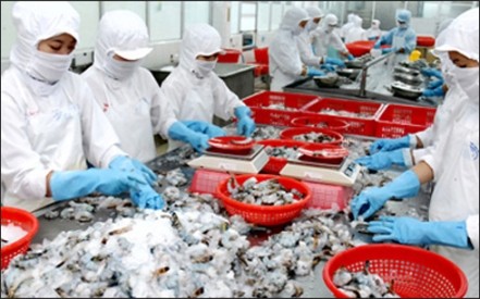 Vervielfältigung des Exportmarktes der landwirtschaftlichen Produkte und Meeresfrüchte