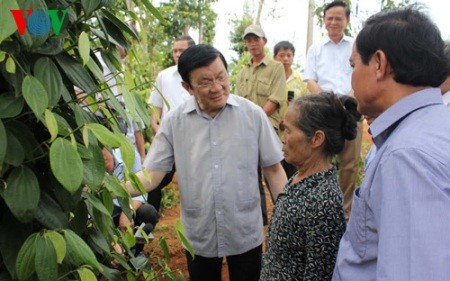 Staatspräsident Truong Tan Sang besucht Provinz Quang Tri