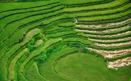 Muong Hoa: Das romantische Tal in Sapa