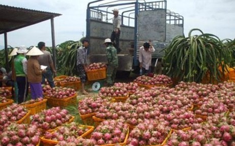 Vietnam will verstärkt landwirtschaftliche Produkte exportieren