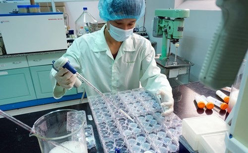 Nationalverwaltungssystem über Impfstoff Vietnams erreicht Standard der WHO