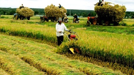 Die Investition der Unternehmen in der Landwirtschaft verstärken