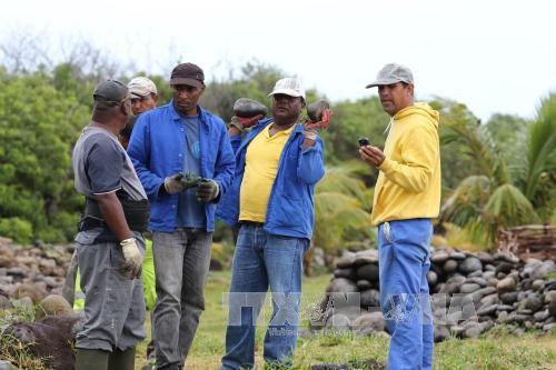 Ermittlungsbehörden beschäftigen sich weiter mit der Begutachtung von Wrackteilen auf La Réunion
