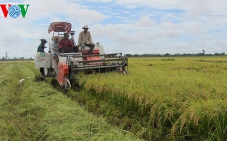 Das vietnamesische Mekongdelta bereitet sich auf TPP vor