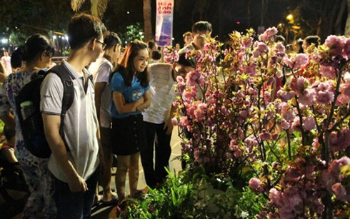 Eröffnung des Sakura-Festes in Ho Chi Minh Stadt