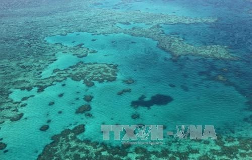 China zerstört Korallenriffe im Ostmeer für den Bau künstlicher Inseln