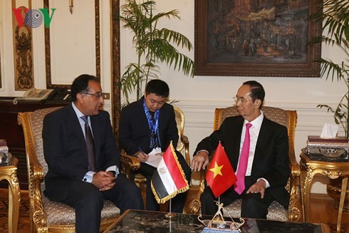 Staatspräsident Tran Dai Quang trifft Ägyptens Spitzenpolitiker