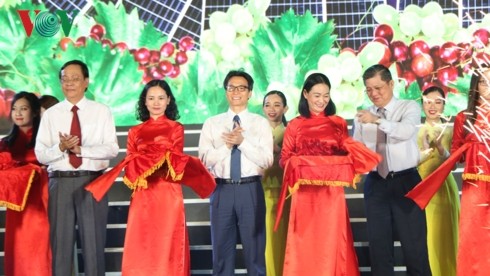 Eröffnung des Festes der Trauben und Wein in Ninh Thuan 2019
