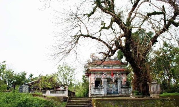 Die Bedeutung des Kulturerbes im klassischen Dorf Phuoc Tich in der Provinz Thua Thien Hue