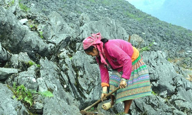 Methode “Der Anbau in Felslöchern” der Mong in Ha Giang