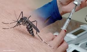 Vietnam erforscht Dengue-Impfstoff