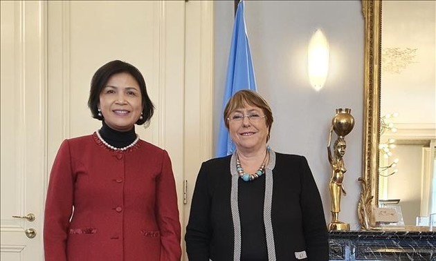 UN-Kommissarin für Menschenrechte schätzt die Erfolge Vietnams in der Förderung und beim Schutz der Menschenrechte