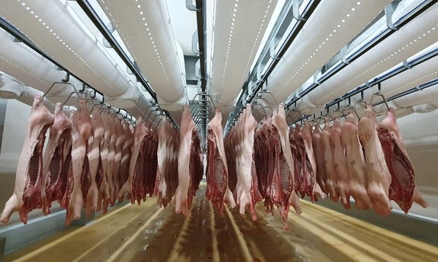 Das von Russland importierte Schweinefleisch wird bald in Vietnam verkauft