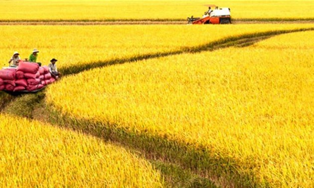 Vietnam bemüht sich, im Jahr 2030, eines der 15 Länder mit der weltweit entwickelsten Landwirtschaft zu werden