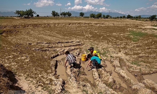 Weltbank unterstützt Vietnam bei der Verbesserung seiner Anpassungsfähigkeit an den Klimawandel