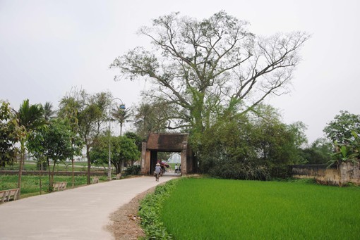 Feier zum 15. Jahrestag der Anerkennung des alten Dorfes Duong Lam als nationale Gedenkstätte