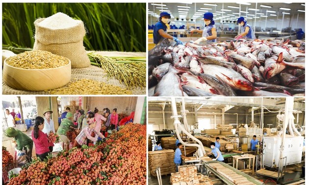 Vietnamesische Landwirtschaft ist trotz Pandemie für ertragreiche Ernte