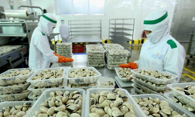 Vietnams Muschel-Exporte in die EU steigen