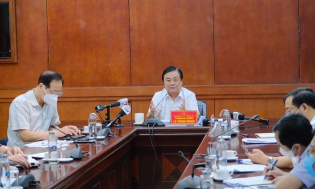 Wiederherstellung des Exports von landwirtschaftlichen Produkten in den südvietnamesischen Provinzen