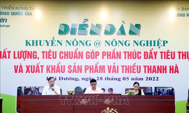 Förderung des Konsums und Exports von Thanh Ha-Litschi 