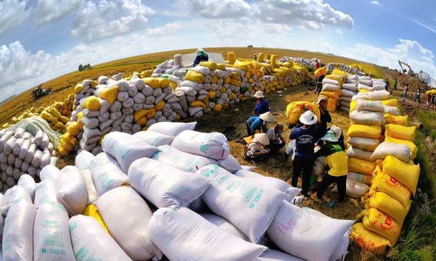 Vietnam gewährleistet globale Lebensmittelsicherheit