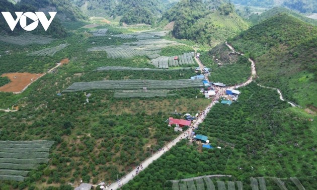 Moc Chau strebt nach einer grünen Tourismusstadt