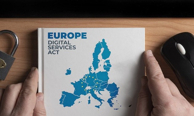 Das neue EU-Gesetz über digitale Dienste tritt in Kraft