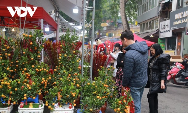 Tet-Blumenmarkt Hang Luoc – Schönheit des Blumenmarktes zum Jahresende in Hanoi