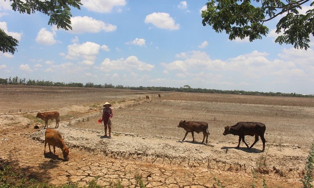 EU, 베트남의 가뭄 및 염수 피해자 지원
