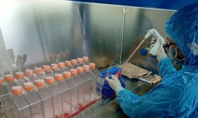 베트남, 가금류 질병 4종 예방 백신 제조