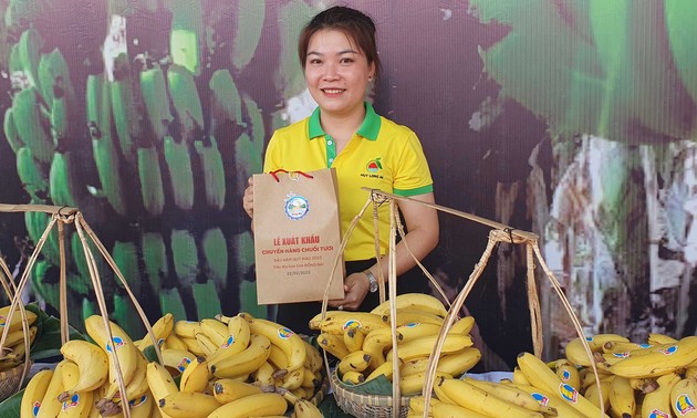 동나이성, 한중일과 말레이시아로 50만 톤 바나나 수출