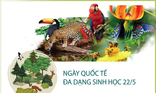 베트남, 지속가능한 생물 다양성 보전