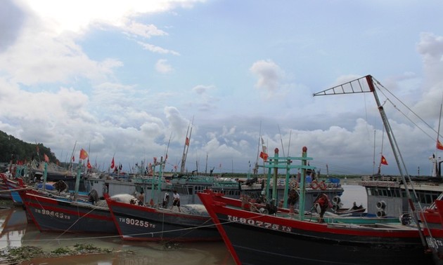 타인화성, 불법 어업 활동 방지 선전 강화