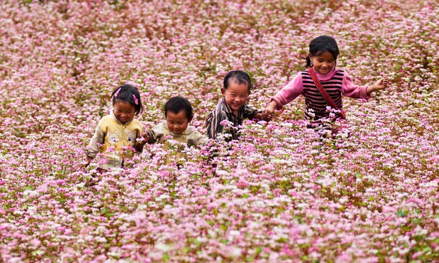 베트남 북부에서 남부까지, 꽃 테마 여행