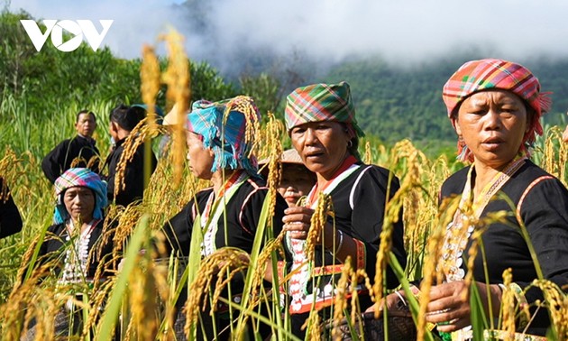 라이쩌우성 커무족의 독특한 마마메 축제