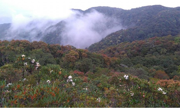 꽝남성 떠이장현, 산림 보호 및 주민 생계 개발