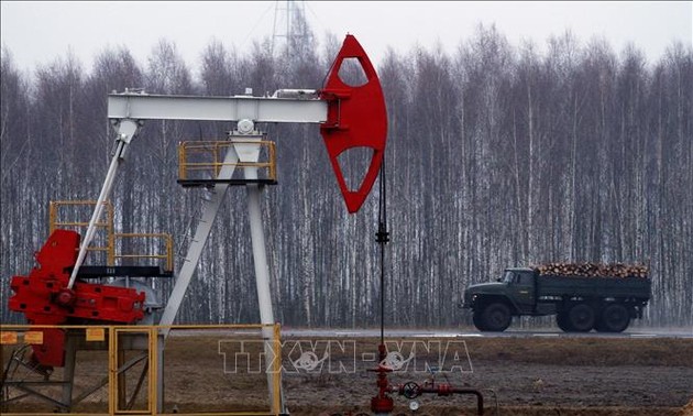 Возобновилась поставка нефти из России в Беларусь