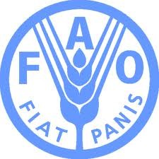 ពិធីបើកសន្និសីទលើកទី៣១របស់ FAO តំបន់ទ្វីបអាស៊ី-ប៉ាស៊ីហ្វីក