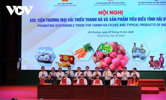 Provinsi Hai Duong Promosikan Perdagangan Buah Leci Thanh Ha