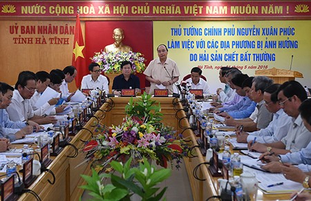 越南政府总理阮春福要求坚决处理在中部环境事件中违反法律的组织和个人