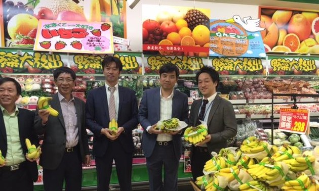 越南出口的香蕉产品在日本市场受到好评