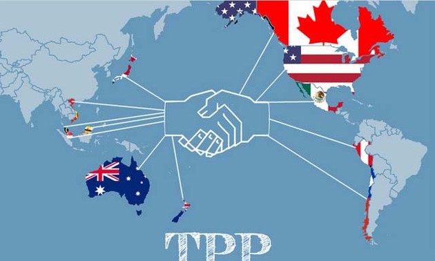 越南加入TPP后中小型企业力争上游提高竞争力