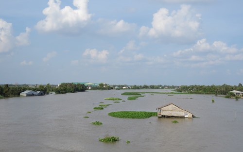 世界银行批准拨款3.8亿多美元帮助越南应对气候变化