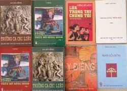 保护越南少数民族文学艺术作品