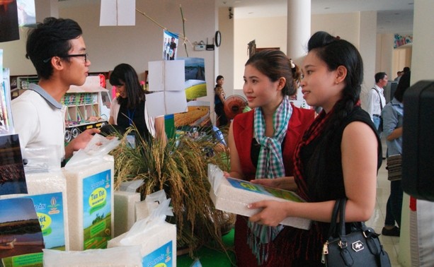 2016年绿色农业集市在同塔省举行