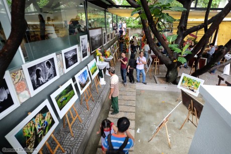 “生活瞬间”图片展在胡志明市举行