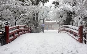 日本继续普降大雪