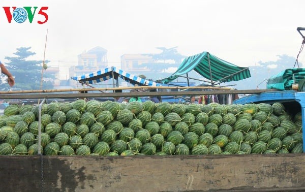 提高越南特产水果出口附加值