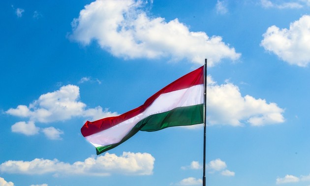 匈牙利国庆纪念会在胡志明市举行