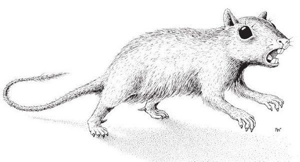 俄罗斯科学家发现远古哺乳动物新物种